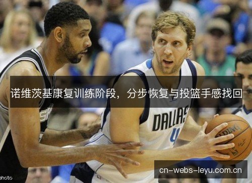 诺维茨基康复训练阶段，分步恢复与投篮手感找回